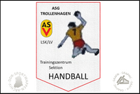 ASG Vorw&auml;rts Trollenhagen Wimpel Sektion Handball