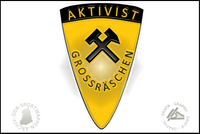 BSG Aktivist Grossr&auml;schen Pin Variante 2