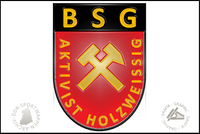 BSG Aktivist Holzweissig Pin Variante