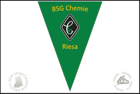 BSG Chemie Riesa Wimpel alt