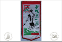 SC Magdeburg Sektionen Wimpel